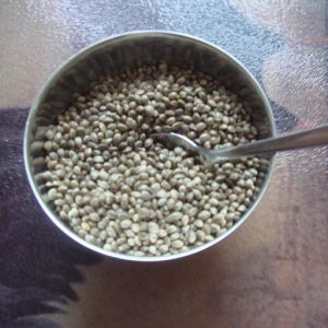 Hemp Seeds Protein