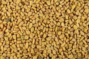 Fenugreek Seeds bodybuilding benefits