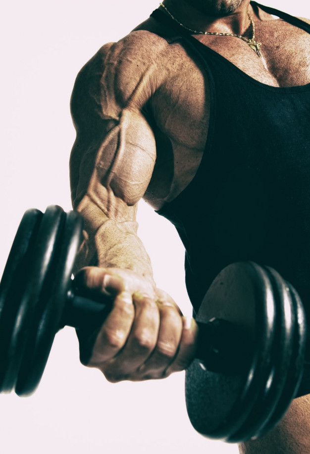 Bodybuilder Working Out Biceps